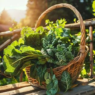 Fall Gardening: Planting Now for a Beautiful Season Ahead