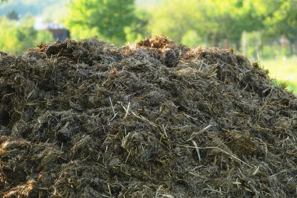 Organic Fertilizer