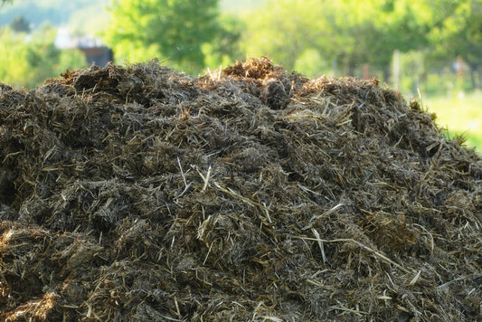 Organic Fertilizer